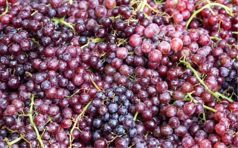 Egyptian Red grapes
