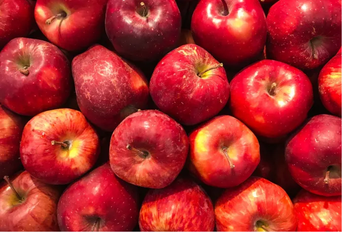Chilean Red apple