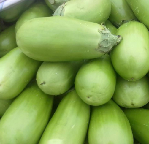 Green Eggplant