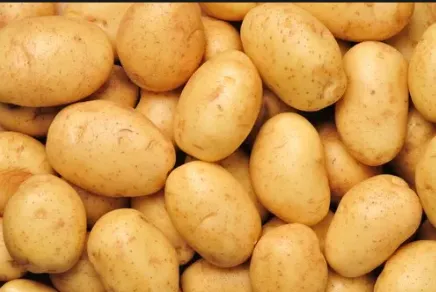Syrian Potato