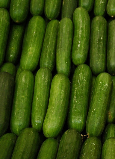Kuwaiti Cucumber