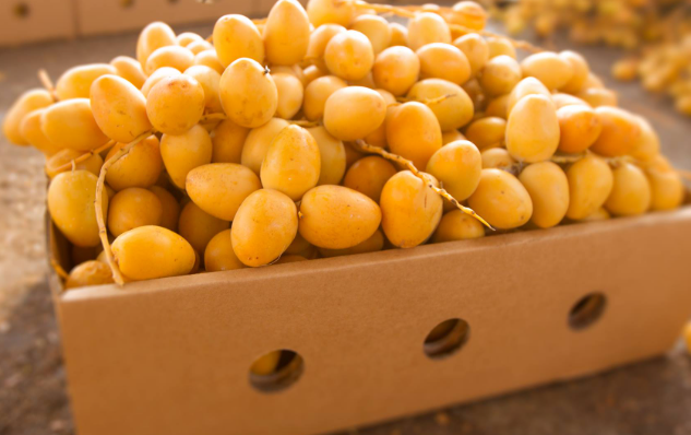 Jordanian Dates