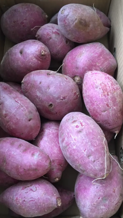 Pakistani Purple Potatoes