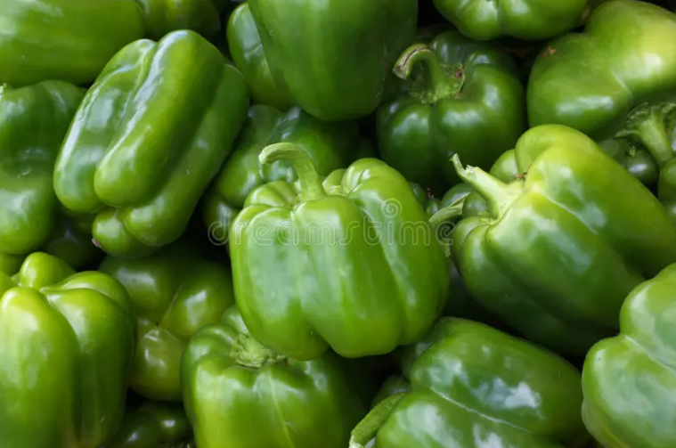 Jordanian Green Bell Pepper