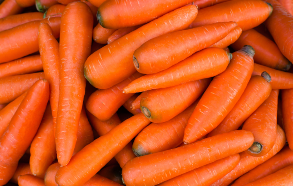 Chinese Carrot