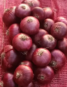 Yemeni Onion