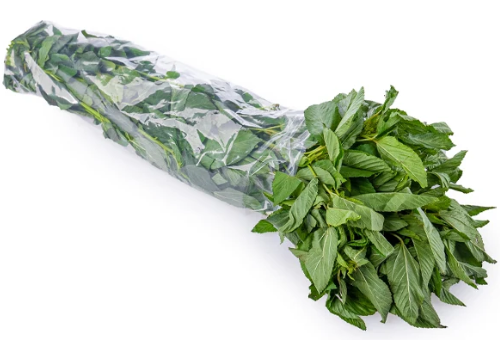 Green molokhia