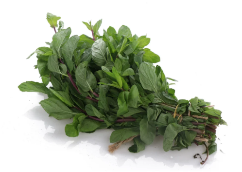 Green Mint