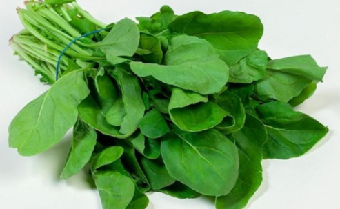 Arugula