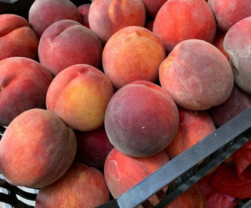 Jordanian Peach Basket