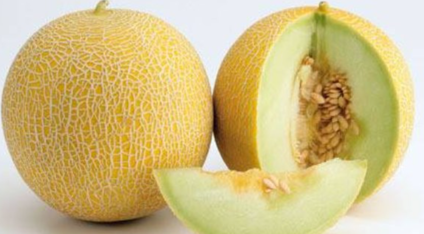شمام اردنى