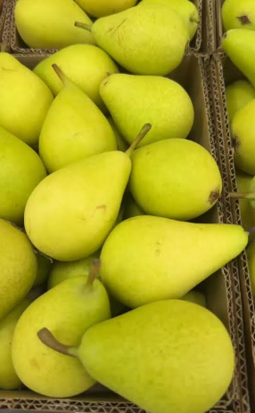 African Pears
